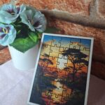 Imagem do WhatsApp de 2025-09-13 à(s) 13.38.32_4c93a684